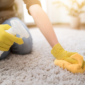 10 Easy Steps to Cleaning Your Carpet - Back to Original