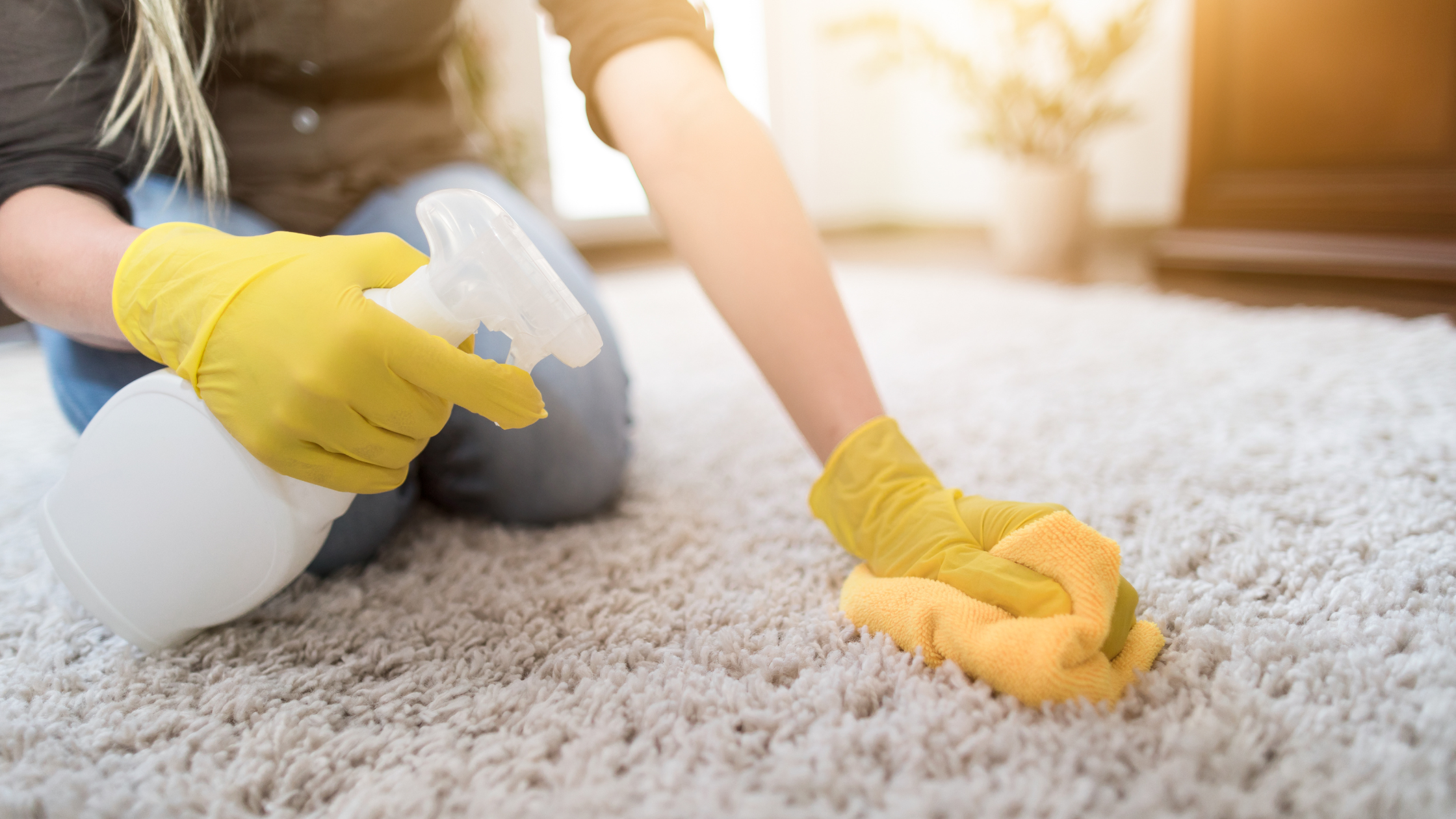 10 Easy Steps to Cleaning Your Carpet - Back to Original